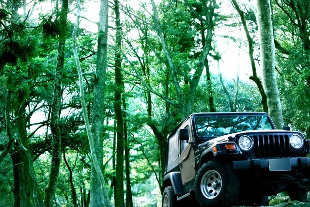 ジープ Jeep のハワイレンタカー6社比較 予約１日8000円 ハイドライブ