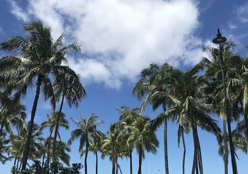 ハワイ風景