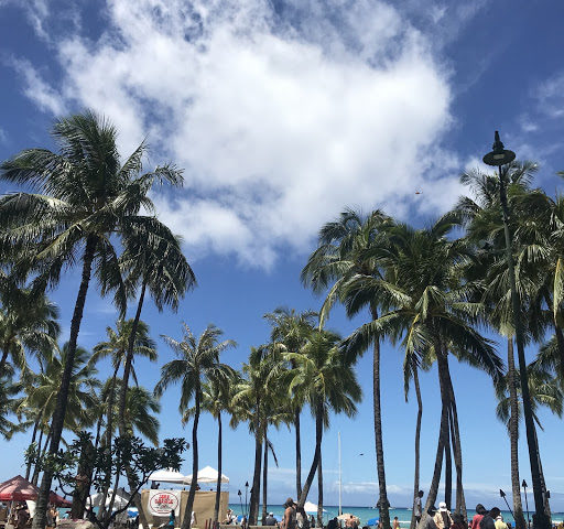 【2024年最新版】ハワイ在住者が教えるハワイ観光スポットランキング厳選BEST８！+番外編