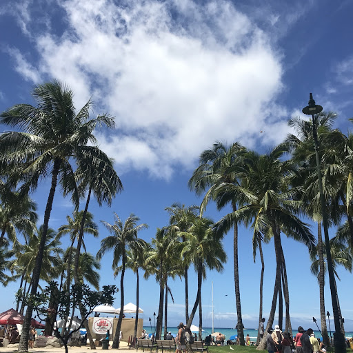 【2019年最新版】ハワイ在住者が教えるハワイ観光スポットランキング厳選BEST８！+番外編